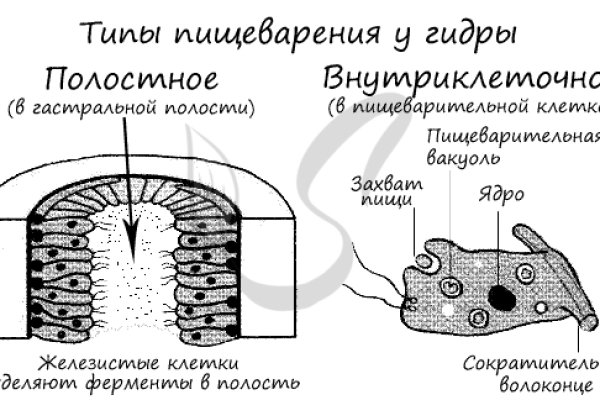 Зайти на сайт кракен