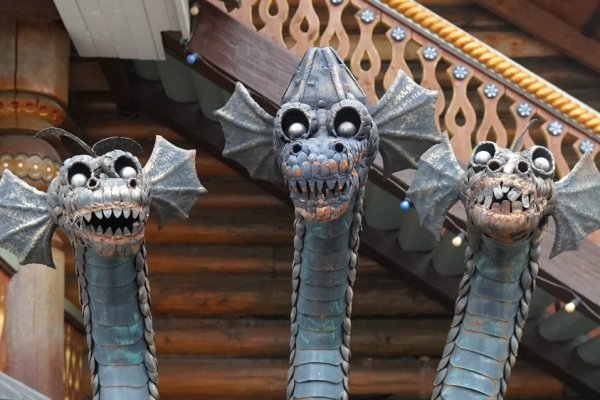 Kraken 12 at