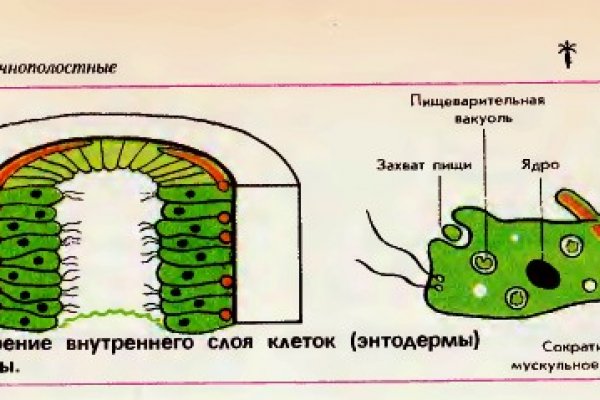 Кракен зон