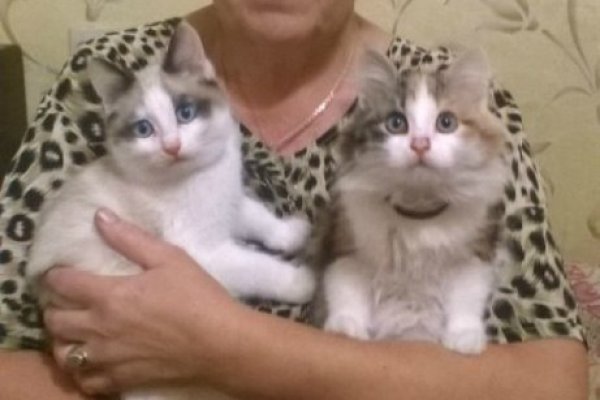Ссылка на сайт гидра в тор браузере
