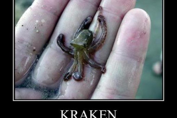 Кракен плейс