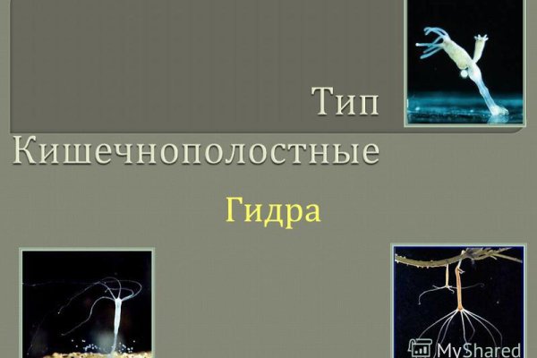 Аутентификатор кракен