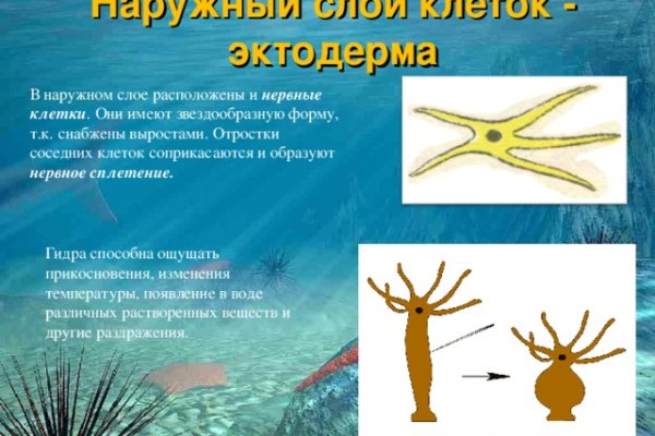 Как подключиться к даркнету