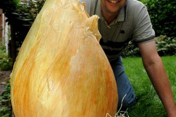 Кракен продажа наркотиков