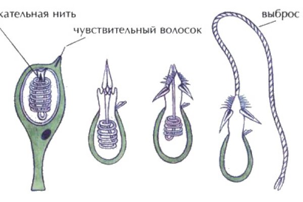 Кракен зеркало рабочее на сегодня krakenat2krnkrnk com